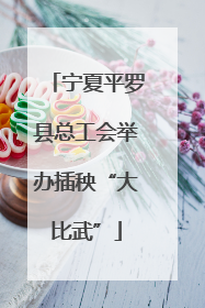 宁夏平罗县总工会举办插秧“大比武”
