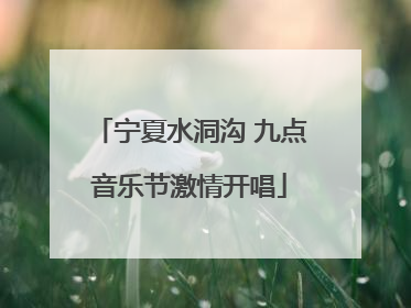 宁夏水洞沟 九点音乐节激情开唱