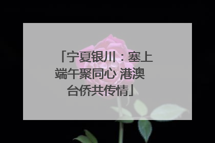 宁夏银川：塞上端午聚同心 港澳台侨共传情