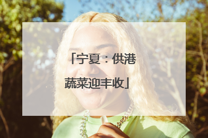 宁夏：供港蔬菜迎丰收
