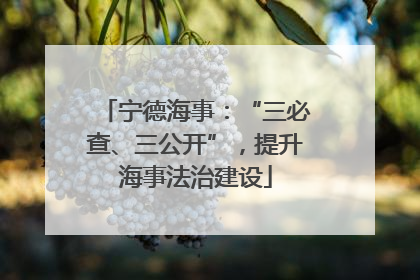宁德海事：“三必查、三公开”，提升海事法治建设