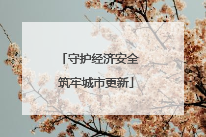 守护经济安全 筑牢城市更新