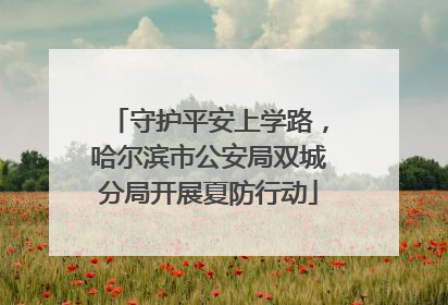 守护平安上学路，哈尔滨市公安局双城分局开展夏防行动