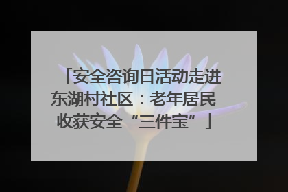 安全咨询日活动走进东湖村社区：老年居民收获安全“三件宝”