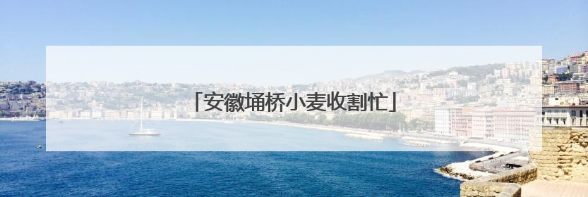 安徽埇桥小麦收割忙