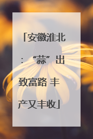 安徽淮北：“蒜”出致富路 丰产又丰收