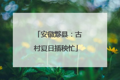 安徽黟县：古村夏日插秧忙