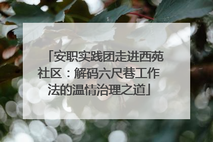 安职实践团走进西苑社区：解码六尺巷工作法的温情治理之道
