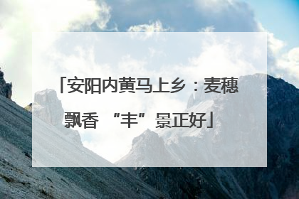 安阳内黄马上乡：麦穗飘香 “丰”景正好