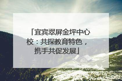 宜宾翠屏金坪中心校：共探教育特色，携手共促发展