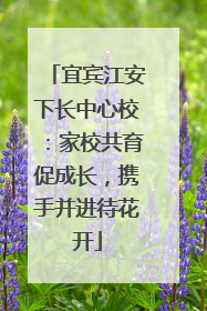 宜宾江安下长中心校：家校共育促成长，携手并进待花开
