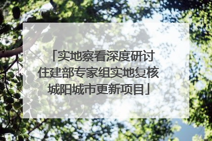 实地察看深度研讨 住建部专家组实地复核城阳城市更新项目