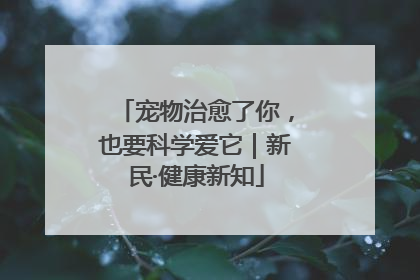宠物治愈了你，也要科学爱它｜新民·健康新知