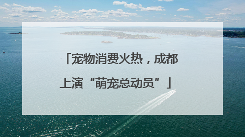 宠物消费火热，成都上演“萌宠总动员”