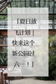 夏日放飞计划｜快来这个新公园过六一！