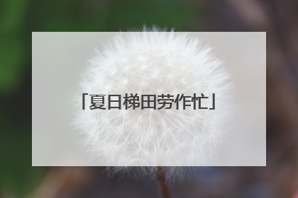 夏日梯田劳作忙