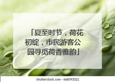 夏至时节，荷花初绽，市民游客公园寻觅荷香雅韵