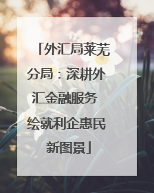 外汇局莱芜分局：深耕外汇金融服务 绘就利企惠民 新图景