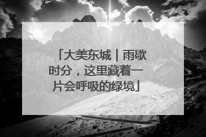 大美东城｜雨歇时分，这里藏着一片会呼吸的绿境