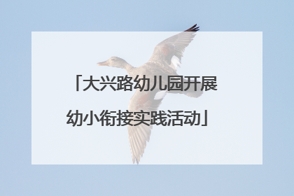 大兴路幼儿园开展幼小衔接实践活动
