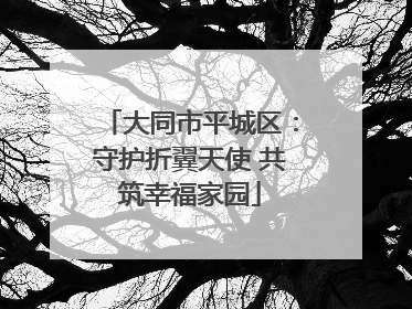 大同市平城区：守护折翼天使 共筑幸福家园
