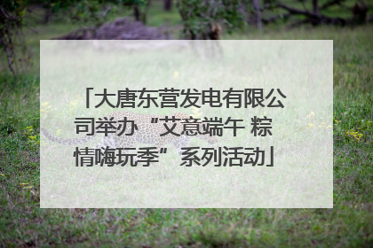 大唐东营发电有限公司举办“艾意端午 粽情嗨玩季”系列活动