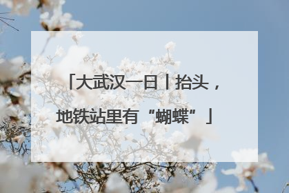 大武汉一日丨抬头，地铁站里有“蝴蝶”