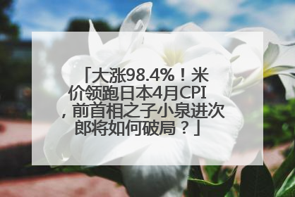 大涨98.4%！米价领跑日本4月CPI，前首相之子小泉进次郎将如何破局？
