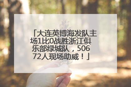 大连英博海发队主场1比0战胜浙江俱乐部绿城队，50672人现场助威！