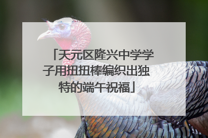 天元区隆兴中学学子用扭扭棒编织出独特的端午祝福