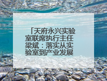 天府永兴实验室联席执行主任梁斌：落实从实验室到产业发展的最后一公里