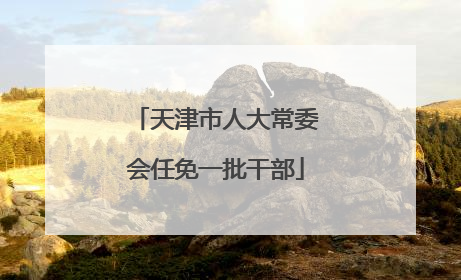 天津市人大常委会任免一批干部