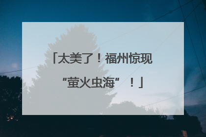太美了！福州惊现“萤火虫海”！