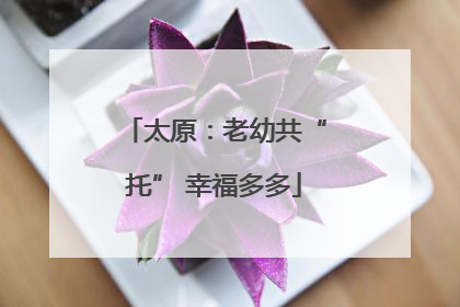 太原：老幼共“托” 幸福多多