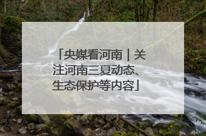 央媒看河南｜关注河南三夏动态、生态保护等内容