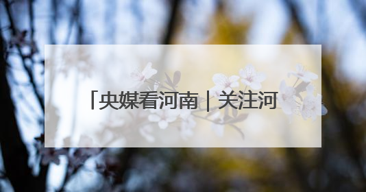 央媒看河南｜关注河南抢收小麦等内容