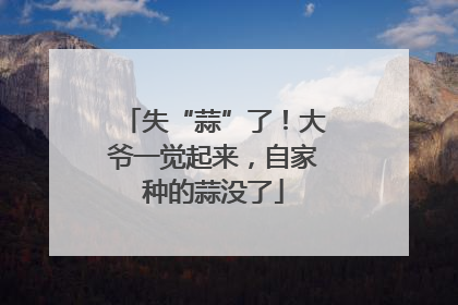 失“蒜”了！大爷一觉起来，自家种的蒜没了