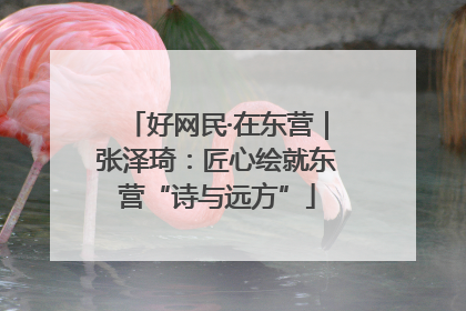 好网民·在东营｜张泽琦：匠心绘就东营“诗与远方”