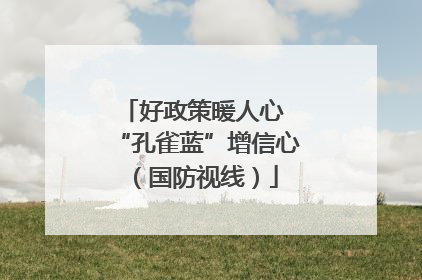 好政策暖人心 “孔雀蓝”增信心（国防视线）