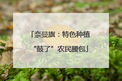 奈曼旗：特色种植“鼓了”农民腰包