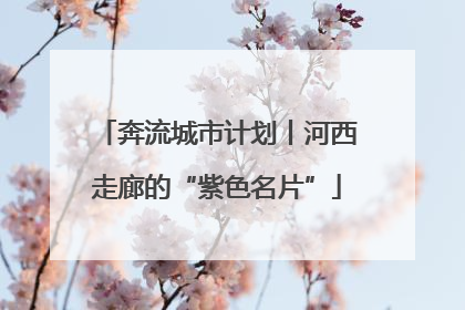 奔流城市计划丨河西走廊的“紫色名片”