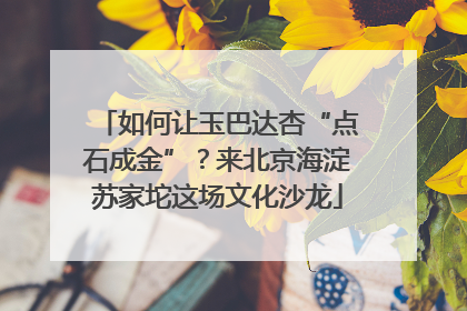 如何让玉巴达杏“点石成金”？来北京海淀苏家坨这场文化沙龙