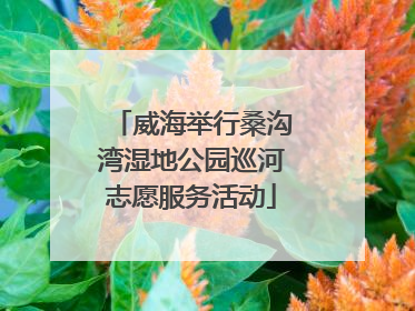 威海举行桑沟湾湿地公园巡河志愿服务活动