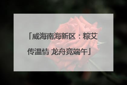 威海南海新区：粽艾传温情 龙舟竞端午