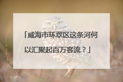 威海市环翠区这条河何以汇聚起百万客流？