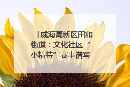 威海高新区田和街道：文化社区“小精特”赛事谱写文化赋能新乐章