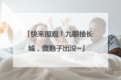 快来围观！九眼楼长城，傻狍子出没~
