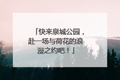 快来泉城公园，赴一场与荷花的浪漫之约吧！