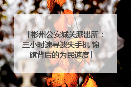 彬州公安城关派出所：三小时速寻遗失手机 锦旗背后的为民速度