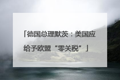 德国总理默茨：美国应给予欧盟“零关税”